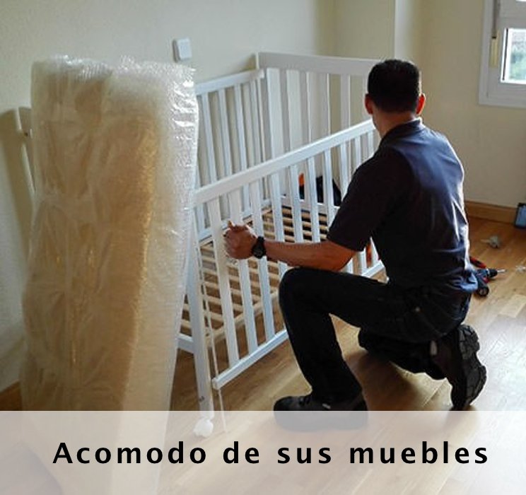 Acomodo de Muebles en Mudanza